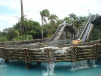 /album/viagem-beto-carreiro-26-11-2010/viagem-beto-carrero-e-praia-sc-216-jpg/